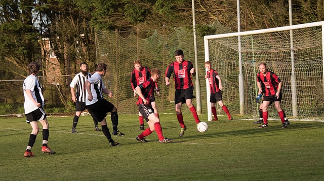 藉自己敏銳 藉自己敏銳