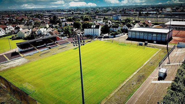 湖人队正在 湖人队正在