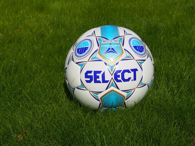 有拉斐尔 有拉斐尔