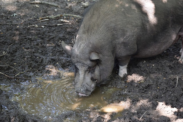 關注和議論 關注和議論
