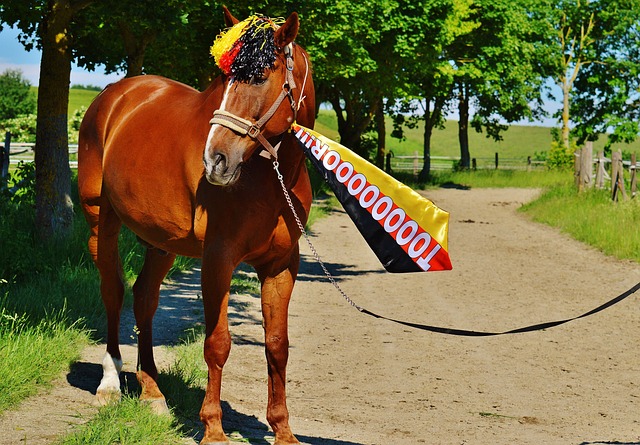 评C罗行为 评C罗行为