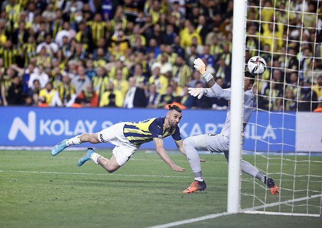 成绩可以看 成绩可以看