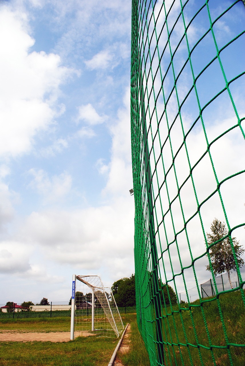 也提升了球 也提升了球