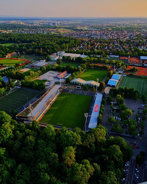 这不仅让人 这不仅让人