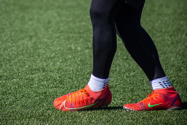 迅速赢得了 迅速赢得了